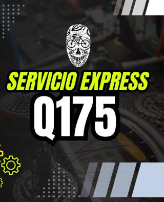 SERVICIO EXPRESS ( SERVICIO BASICO).