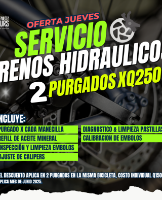 OFERTA 2 PURGADOS DE FRENO HIDRAULICO - x Q250